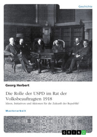 Die USPD im Rat der Volksbeauftragten 1918 - Georg Herbert - E-Book