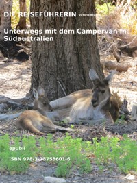 DIE REISEFÜHRERIN - Victoria Kramer - E-Book