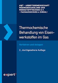 Thermochemische Behandlung von Eisenwerkstoffen im Gas - - E-Book