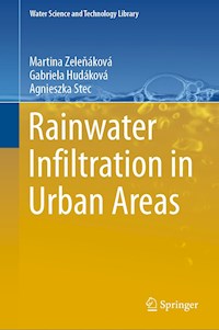 Rainwater Infiltration in Urban Areas - Martina Zeleňáková - E-Book
