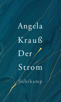 Der Strom - Angela Krauß - E-Book