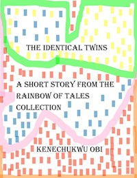 The Identical Twins - kenechukwu obi - E-Book