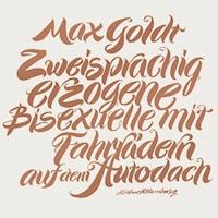 Zweisprachig erzogene Bisexuelle mit Fahrrädern auf dem Autodach - Max Goldt - Hörbuch