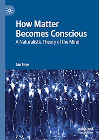 How Matter Becomes Conscious - Jan Faye - E-Book