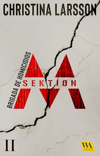 Sektion M - Brigada de Homicidios II - Christina Larsson - E-Book