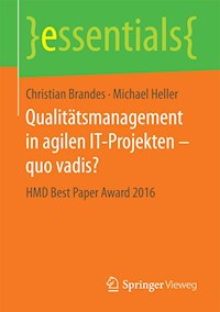 Qualitätsmanagement in agilen IT-Projekten – quo vadis? - Christian Brandes - E-Book