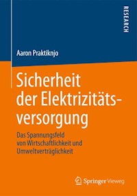 Sicherheit der Elektrizitätsversorgung - Aaron Praktiknjo - E-Book