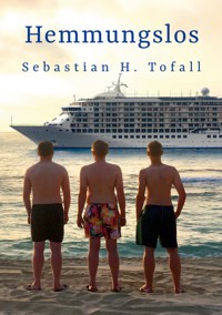 Hemmungslos - Sebastian H. Tofall - E-Book