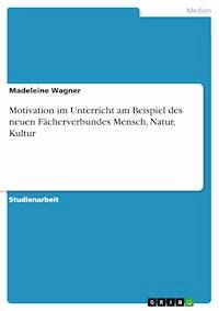 Motivation im Unterricht am Beispiel des neuen Fächerverbundes Mensch, Natur, Kultur - Madeleine Wagner - E-Book