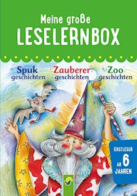 Meine große Leselernbox: Spukgeschichten, Zauberergeschichten, Zoogeschichten - Marion Clausen - E-Book