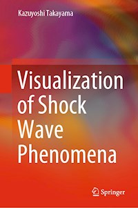 Visualization of Shock Wave Phenomena - Kazuyoshi Takayama - E-Book