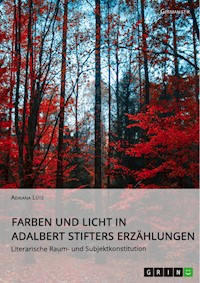 Farben und Licht in Adalbert Stifters Erzählungen. Literarische Raum- und Subjektkonstitution - Adriana Lütz - E-Book