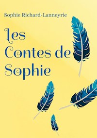 Le dictionnaire - Sophie Richard-Lanneyrie - E-Book