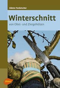 Winterschnitt - Günter Pardatscher - E-Book