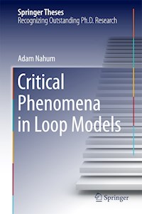 Critical Phenomena in Loop Models - Adam Nahum - E-Book