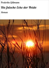 Die falsche Ecke der Heide - Frederike Gillmann - E-Book
