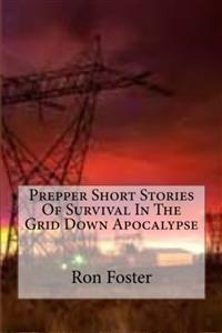 Prepper Short Stories Of Survival In The Grid Down Apocalypse - Ron Foster - E-Book