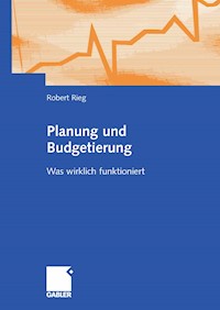 Planung und Budgetierung - Robert Rieg - E-Book