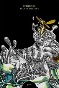 Tránsitos - Zyanya Mariana Mejía Ascencio - E-Book