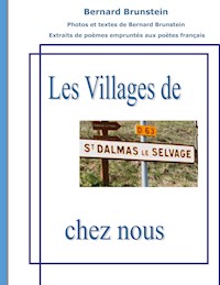 Saint Dalmas le Selvage - bernard Brunstein - E-Book