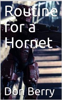 Routine for a Hornet - Don Berry - E-Book