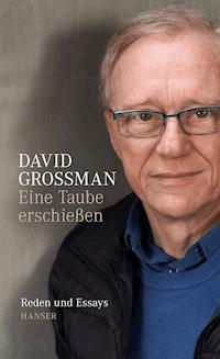 Eine Taube erschießen - David Grossman - E-Book