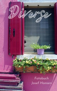 Diverse - Josef Hansen - E-Book