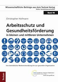 Arbeitsschutz und Gesundheitsförderung in kleinen und mittleren Unternehmen - Christopher Hofmann - E-Book
