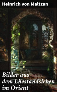 Bilder aus dem Ehestandsleben im Orient - Heinrich von Maltzan - E-Book