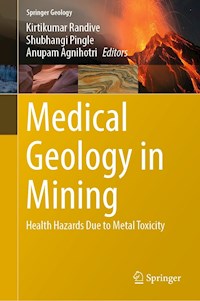 Medical Geology in Mining -  - E-Book