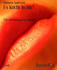 Es kocht in mir! - Manuela Andersen - E-Book