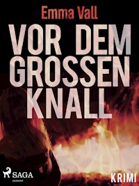 Vor dem großen Knall - Emma Vall - E-Book