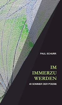 IM IMMERZU WERDEN - Paul Schurr - E-Book