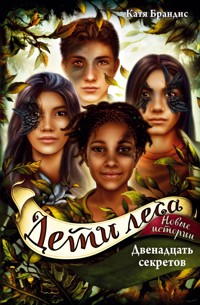 Двенадцать секретов - Катя Брандис - E-Book