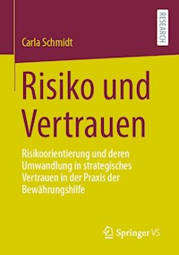 Risiko und Vertrauen - Carla Schmidt - E-Book