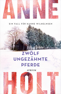 Zwölf ungezähmte Pferde - Anne Holt - E-Book