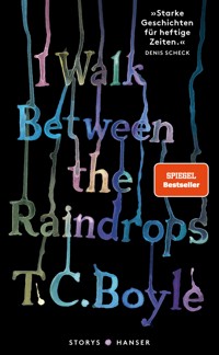 I walk between the Raindrops. Storys - T. C. Boyle - E-Book