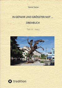 In Gefahr und größter Not - Drehbuch - Detlef Zeiler - E-Book