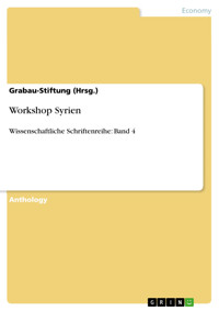 Workshop Syrien - Grabau-Stiftung (Hrsg.) - E-Book