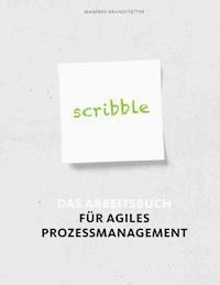 Scribble - Manfred Brandstätter - E-Book