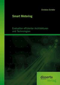 Smart Metering: Evaluation effizienter Architekturen und Technologien - Christian Schäfer - E-Book