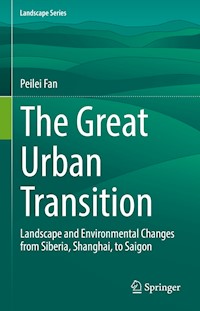 The Great Urban Transition - Peilei Fan - E-Book