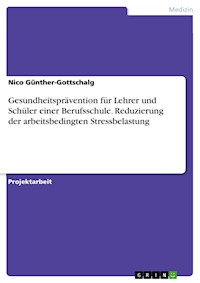 Gesundheitsprävention für Lehrer und Schüler einer Berufsschule. Reduzierung der arbeitsbedingten Stressbelastung - Nico Günther-Gottschalg - E-Book