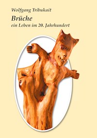 Brüche - Wolfgang Tribukait - E-Book