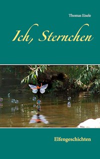 Ich, Sternchen - Thomas Eisele - E-Book