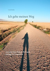 Ich gehe meinen Weg - Carola Budsky - E-Book