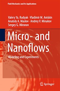 Micro- and Nanoflows - Valery Ya. Rudyak - E-Book