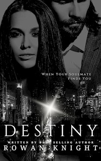 Destiny - Rowan Knight - kostenlos E-Book