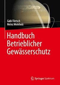 Handbuch Betrieblicher Gewässerschutz - Gabi Förtsch - E-Book