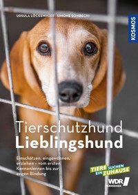 Tierschutzhund Lieblingshund - Ursula Löckenhoff - E-Book